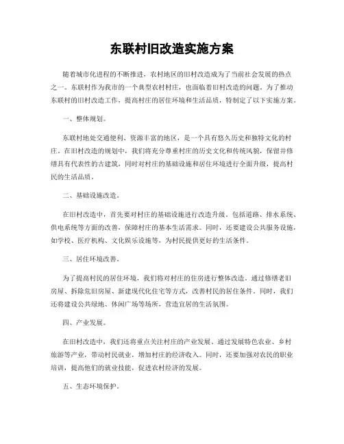 东联村旧改造实施方案