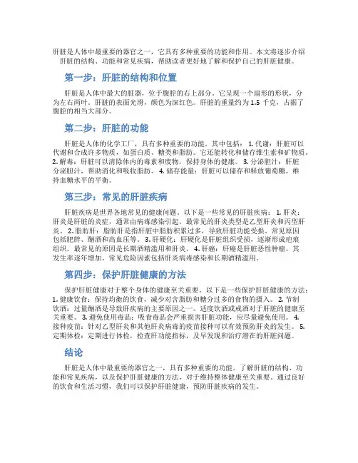 有关肝脏知识点