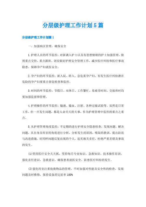分层级护理工作计划5篇