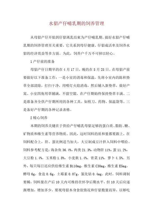 水貂产仔哺乳期的饲养管理