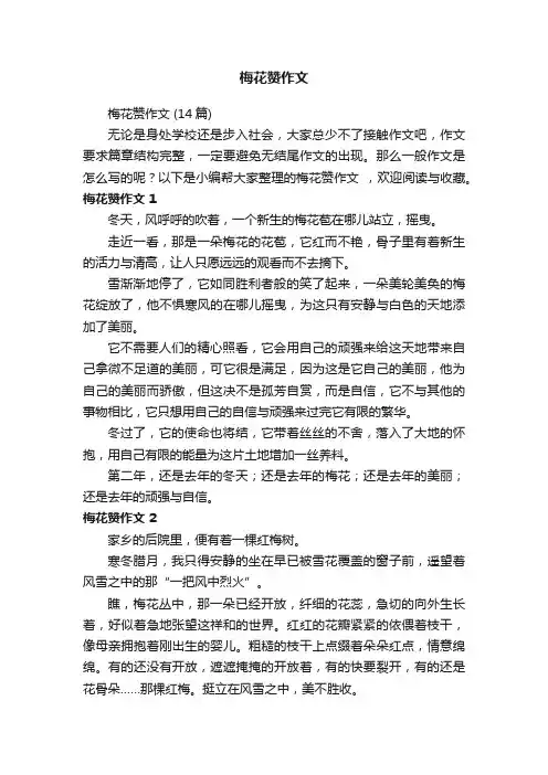 梅花赞作文（14篇）