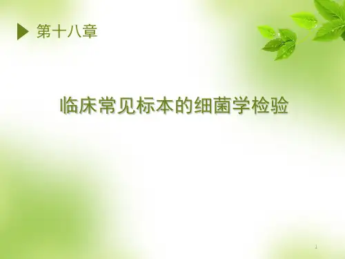 临床标本的细菌学检验