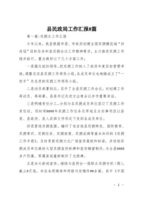 县民政局工作汇报