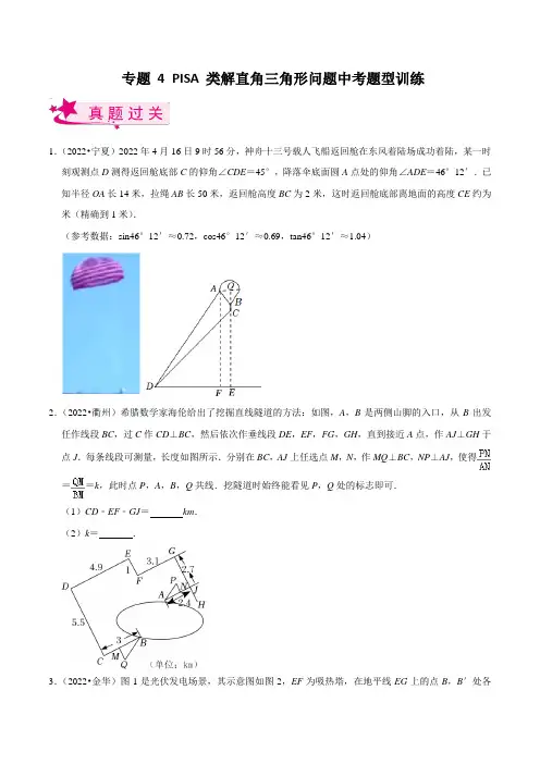 专题04 PISA类解直角三角形问题中考题型训练(原卷版)