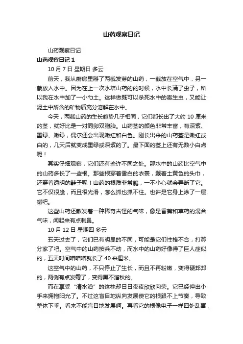 山药观察日记