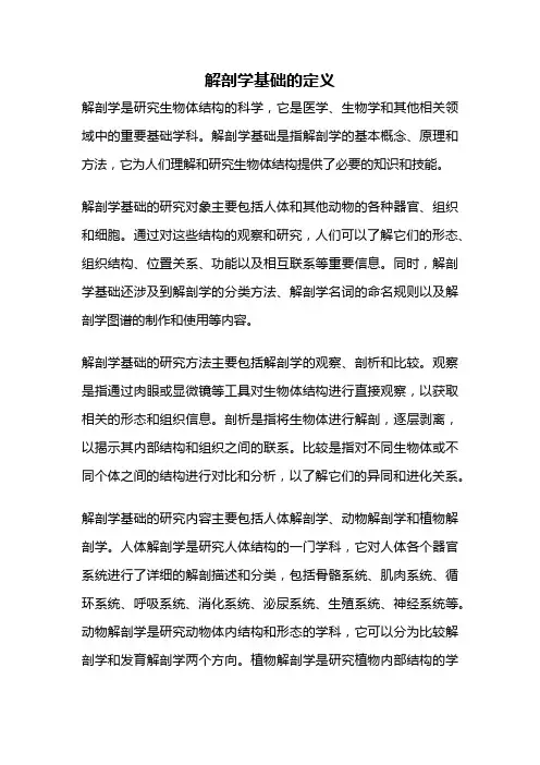 解剖学基础的定义