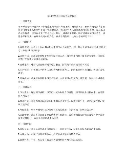 稻田养鸭项目可行性研究报告