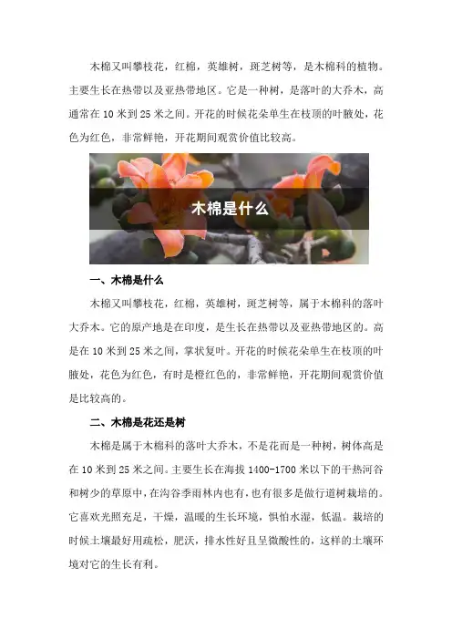 木棉是什么,是花还是树