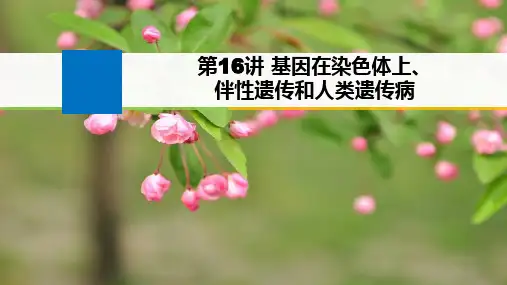 基因在染色体上、 伴性遗传和人类遗传病