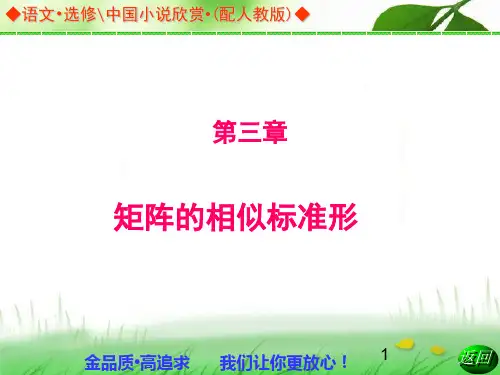矩阵的相似标准形