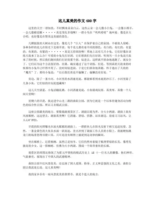 这儿真美的作文400字