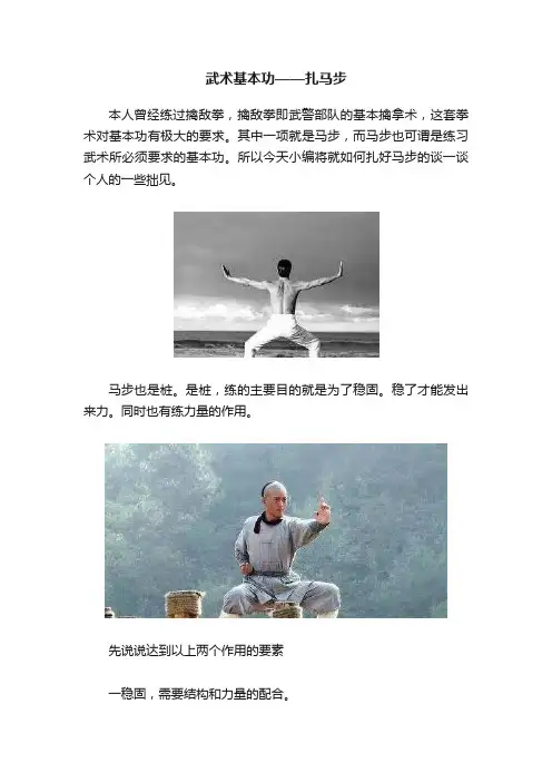 武术基本功——扎马步