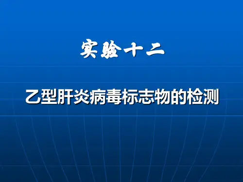 实验十二乙型肝炎病毒标志物的检测.ppt