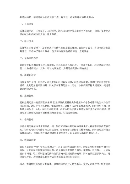 葡萄的种植技术要点