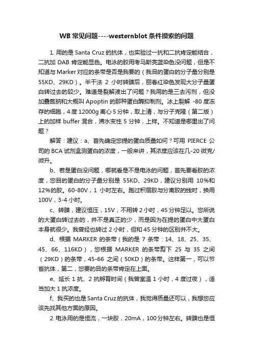 WB常见问题----westernblot条件摸索的问题