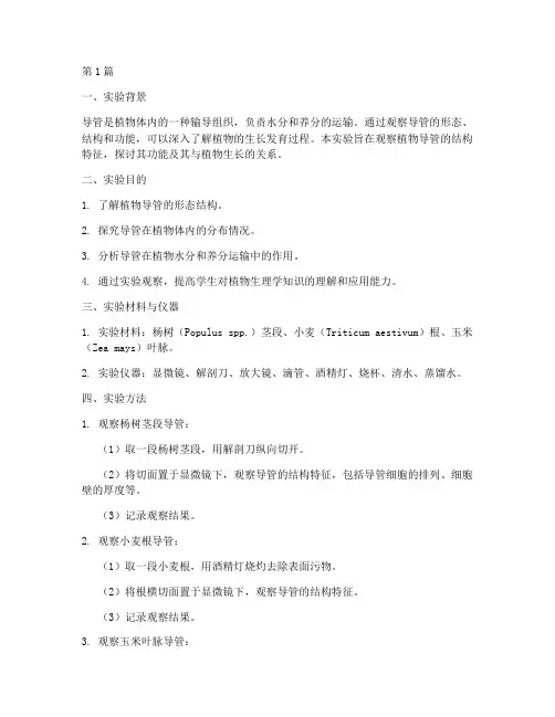 导管的观察实验报告(3篇)
