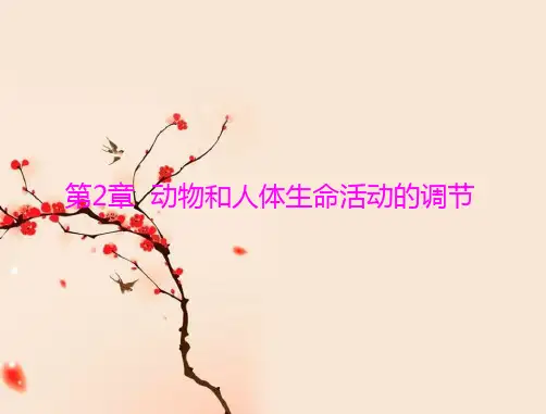 衡水中学2021届高三生物一轮复习-必修3 第2章 第1节 通过神经系统的调节(共99张PPT)