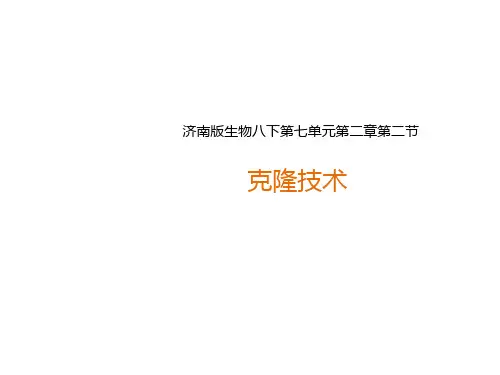 克隆技术 课件 (共26张PPT)