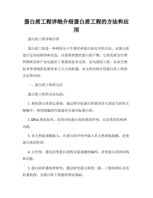 蛋白质工程详细介绍蛋白质工程的方法和应用