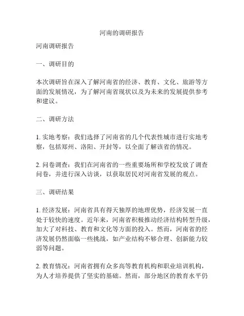 河南的调研报告