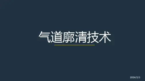 气道廓清技术