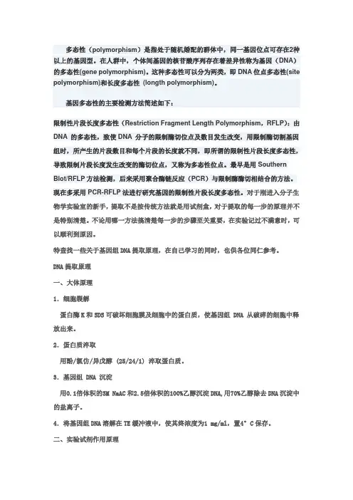 DNA多态性原理