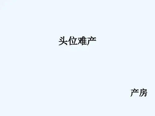 头位难产教学课件