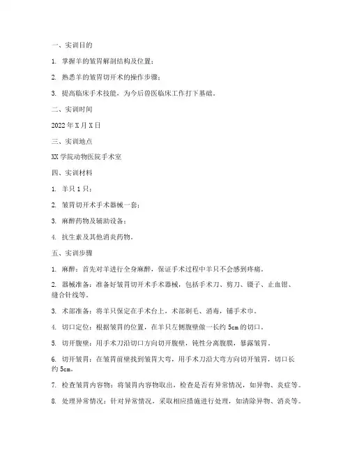 羊的皱胃切开术实训报告