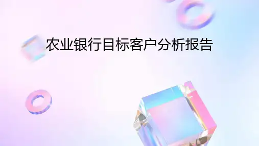 农业银行目标客户分析报告
