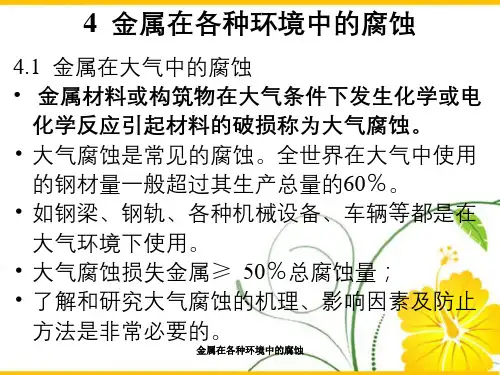 金属在各种环境中的腐蚀