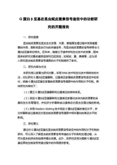 G蛋白β亚基在昆虫蜕皮激素信号途径中的功能研究的开题报告