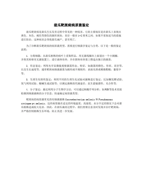 甜瓜靶斑病病原菌鉴定