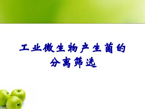 工业微生物产生菌的分离筛选