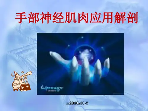 手的神经肌肉解剖ppt课件
