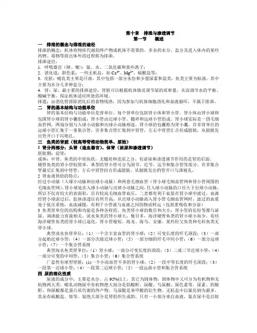 第十章 排泄与渗透调节