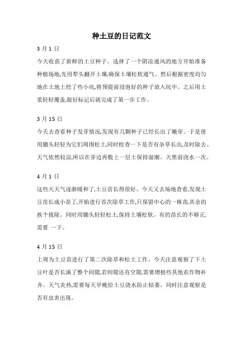 种土豆的日记范文