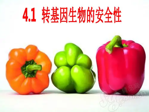 转基因生物的安全性