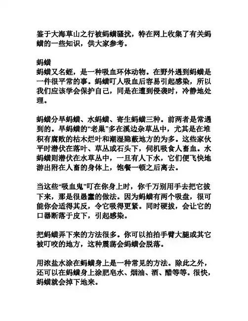 水蛭的资料