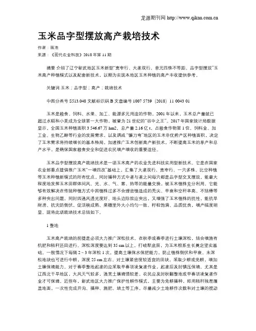 玉米品字型摆放高产栽培技术