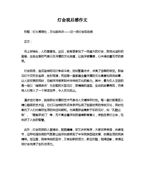 灯会观后感作文