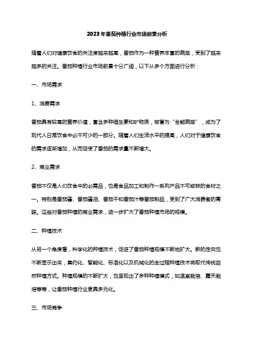 2023年番茄种植行业市场前景分析