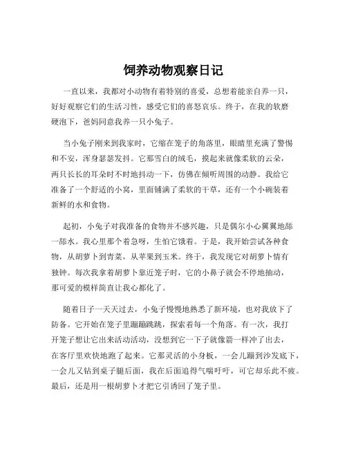 饲养动物观察日记
