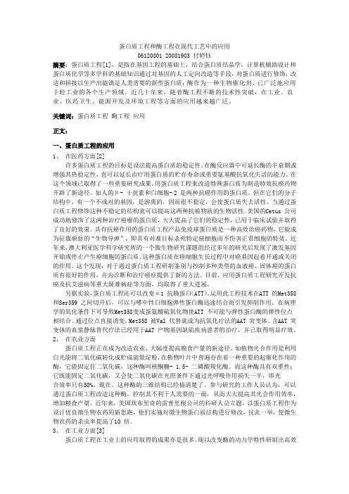蛋白质工程和酶工程在现代工艺中的应用