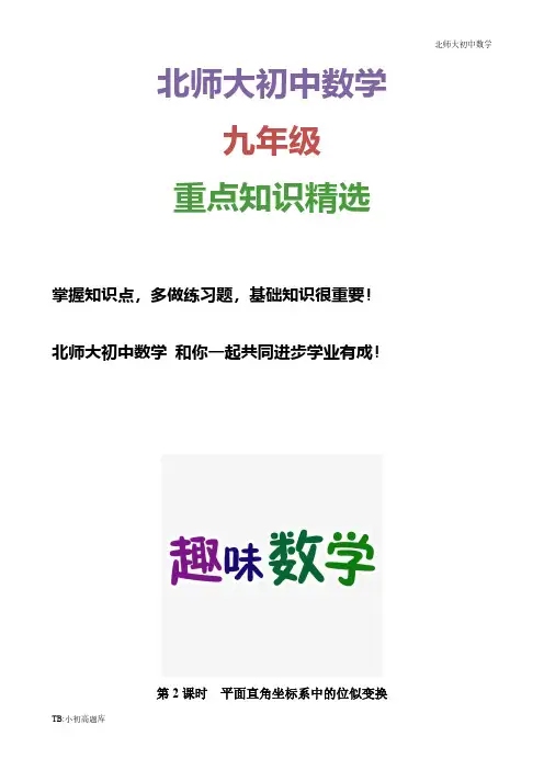 北师大版初中数学九年级上册4.8 第2课时 平面直角坐标系中的位似变换