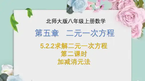5.2.2求解一元二次方程(第二课时)加减消元法