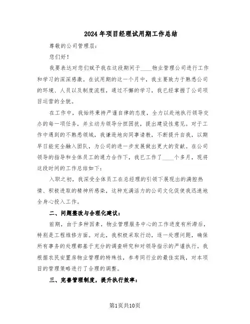 2024年项目经理试用期工作总结（5篇）