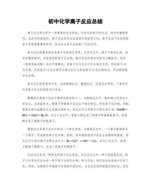初中化学离子反应总结