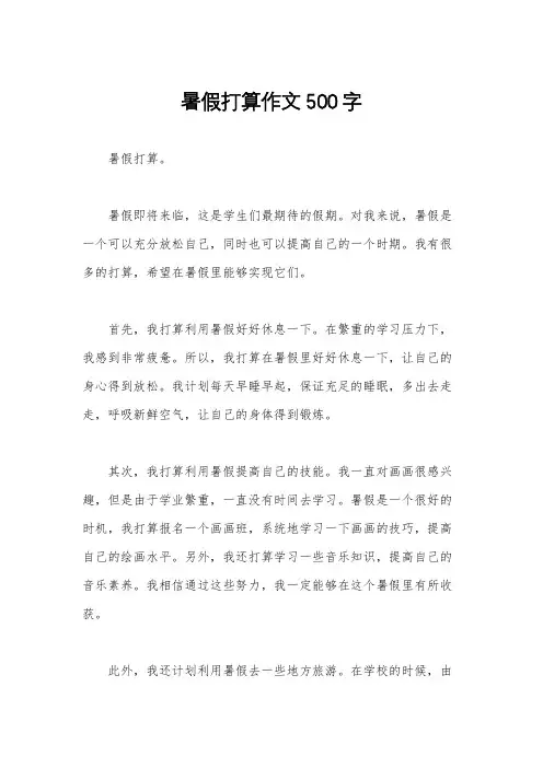 暑假打算作文500字