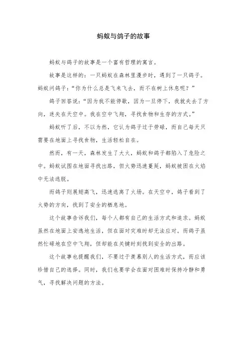 蚂蚁与鸽子的故事