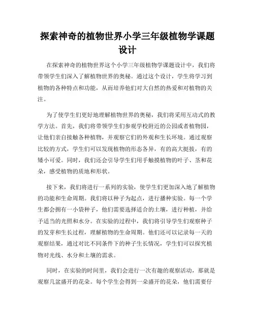 探索神奇的植物世界小学三年级植物学课题设计